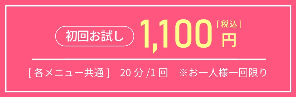 初回お試し税込1100円